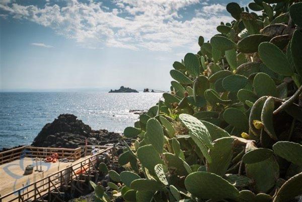 Serena Mulinia Garden Acireale Kültér fotó